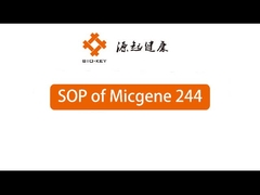 पीओसीटी वास्तविक समय मात्रात्मक पीसीआर मशीन 2 / 4 चैनल 24 अच्छी तरह से आणविक निदान उपकरण
