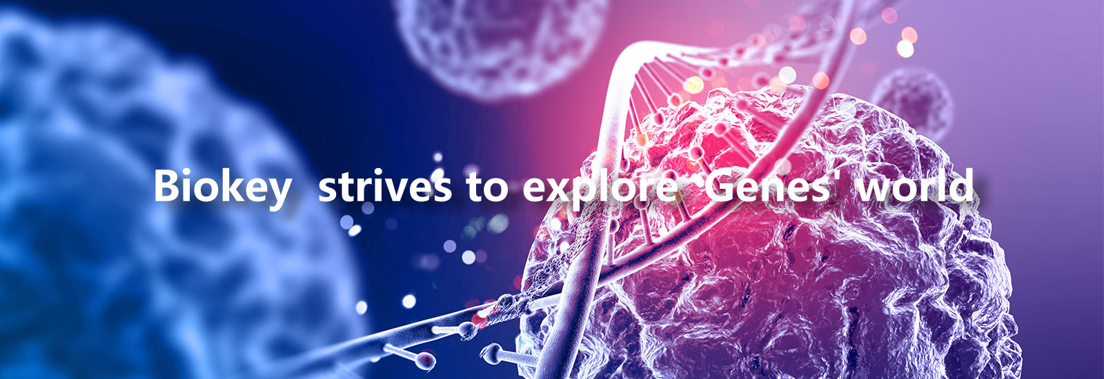 गुणवत्ता आरटी क्यूपीसीआर मशीन कारखाना