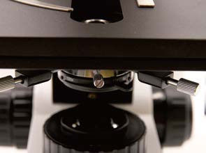 ऑब्जेक्टिव टर्नटेबल के साथ ऊर्ध्वाधर जैविक माइक्रोस्कोप B70