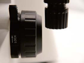 ऑब्जेक्टिव टर्नटेबल के साथ ऊर्ध्वाधर जैविक माइक्रोस्कोप B70