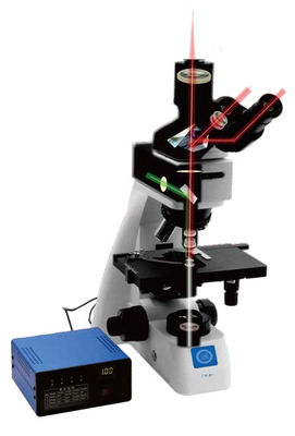 ऑब्जेक्टिव टर्नटेबल के साथ ऊर्ध्वाधर जैविक माइक्रोस्कोप B70